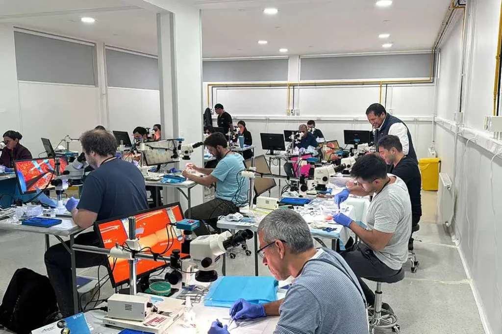 Curso: de Técnicas Básicas de Microcirugía